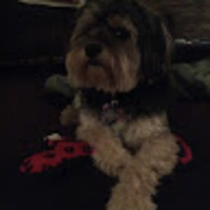 Meet your Posher, Alexe